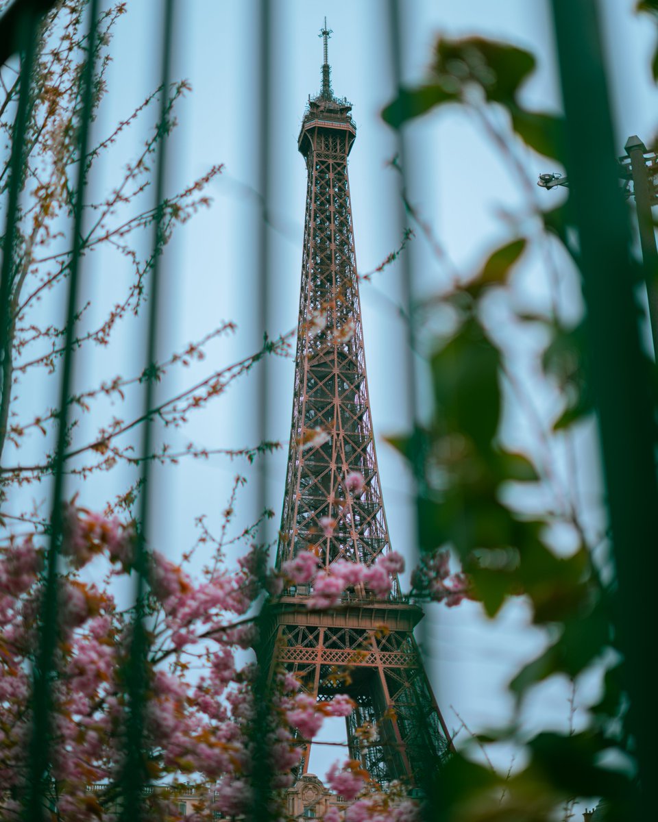 Dudles_Media's tweet photo. Paris Dreams #Paris #eiffeltower #photography https://t.co/Zc7Zb3I7Kk