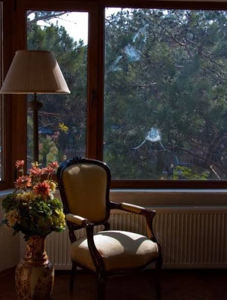 Ortalık karardıktan sonra pencereden yıldızları izliyorum.
Umut etmiyorum,kızmıyorum, üzülmüyorum.
Sadece h a t ı r l ı y o r u m.