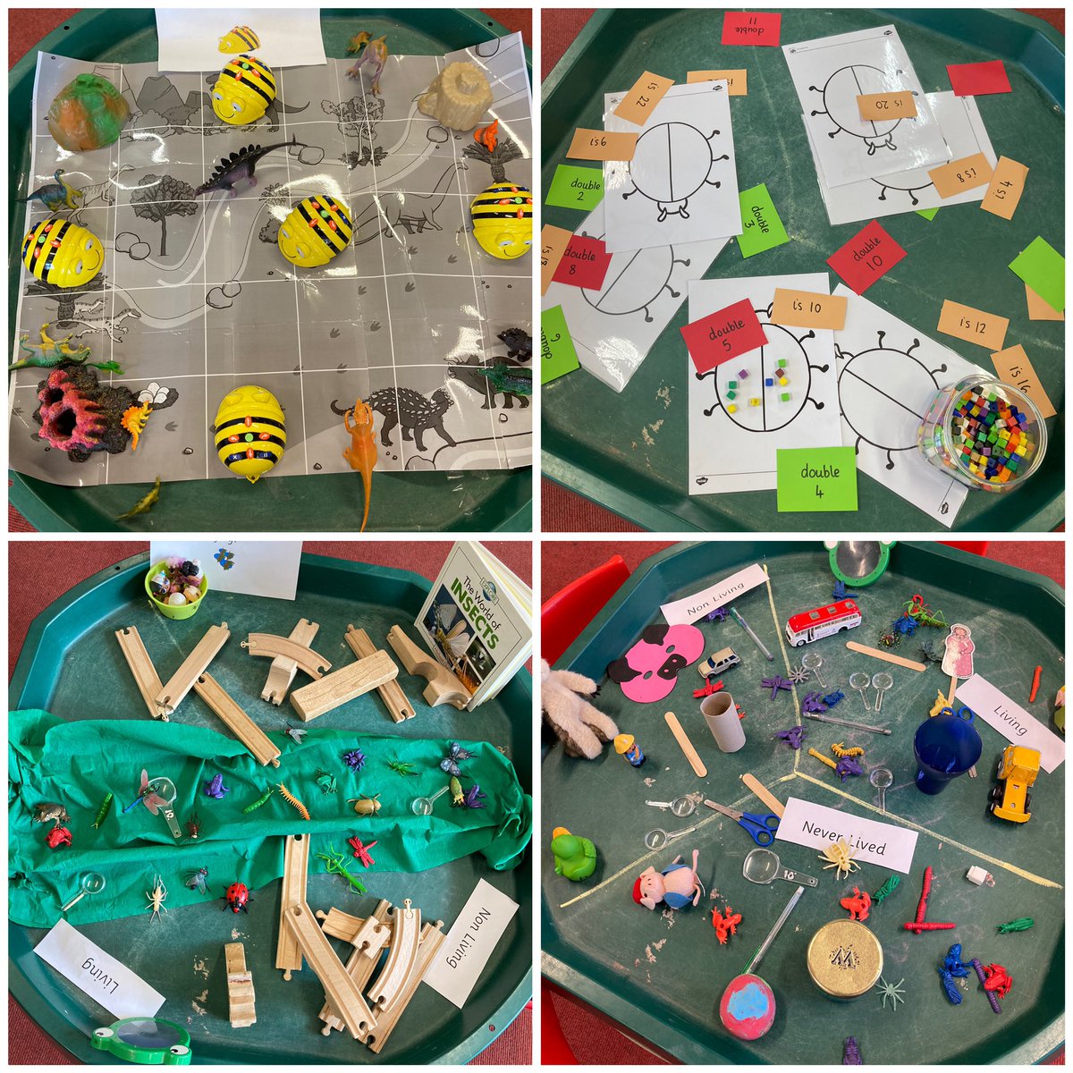 Oxgang Primary School tweet media