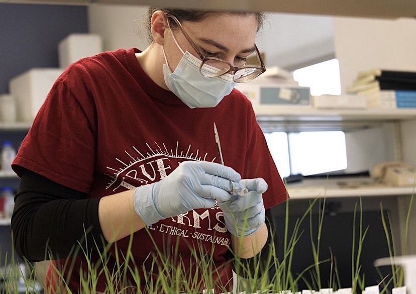 UVM Biological Data Science (BilDS) Program tweet media