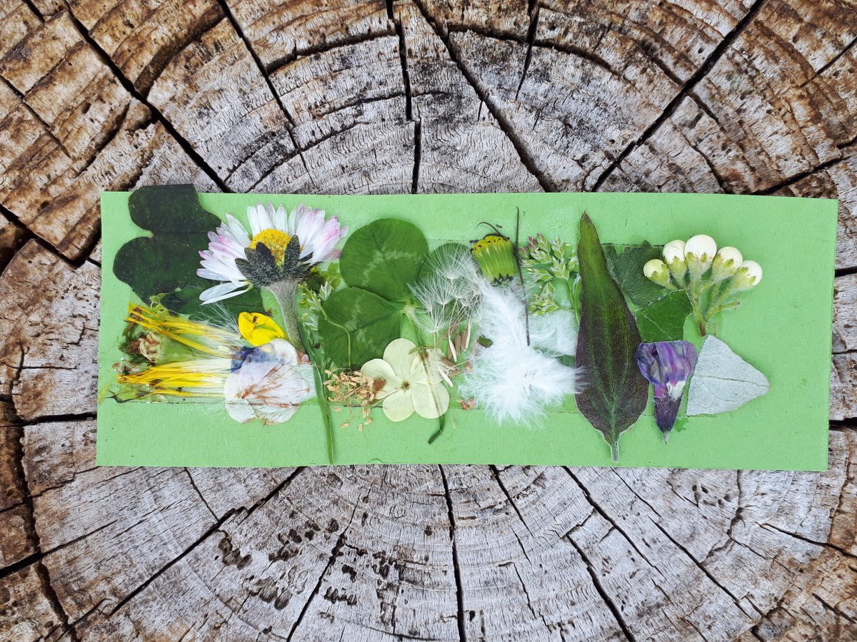 Forest of Avon (@forestofavon) on Twitter photo We had our first South Glos. dementia wellbeing session in Brinsham Fields, Yate today. We enjoyed noticing the details of our natural surroundings & made natural bookmarks with some of the things we found. Thanks to Susanne from <a href="/AdornoUK/">Adorno Companions</a> for joining us! We had our first South Glos. dementia wellbeing session in Brinsham Fields, Yate today. We enjoyed noticing the details of our natural surroundings & made natural bookmarks with some of the things we found. Thanks to Susanne from <a href="/AdornoUK/">Adorno Companions</a> for joining us!