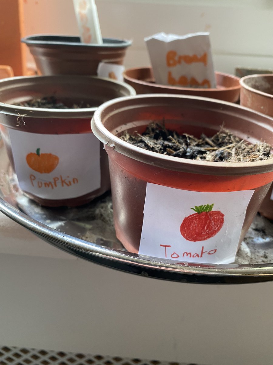 craig_parc's tweet photo. Enfys class have kick started the term with our theme Wriggle and Crawl. Today we planted flower and vegetable seeds and made labels. https://t.co/3aupMPFd3d
