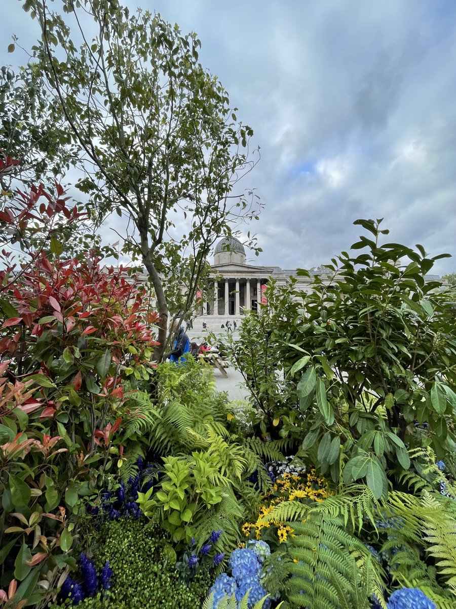 DanielChappers's tweet photo. Great little detour after work to Trafalgar Square to see the #BigRewild. Really puts the jungle into concrete jungle 🌸 🌳 🏙 https://t.co/4FBKSoz9au