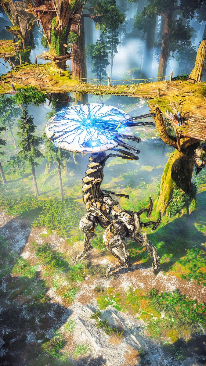 FolinAngeL's tweet photo. #VirtualPhotography
#ArtisticofSociety 
#PhotoMode 
#WorldofVP 
#VPEclipse 
#VPGamers 
#ZarnGaming 
#vgpunite 
#thecapturedcollective 
#ThePhotoMode
#VPCONTEXT 
#PS5Share 
#vps 
#vprt
#horizonforbiddenwest 
#beyondthehorizon 
#PSBlog https://t.co/VrnC9mR1VG