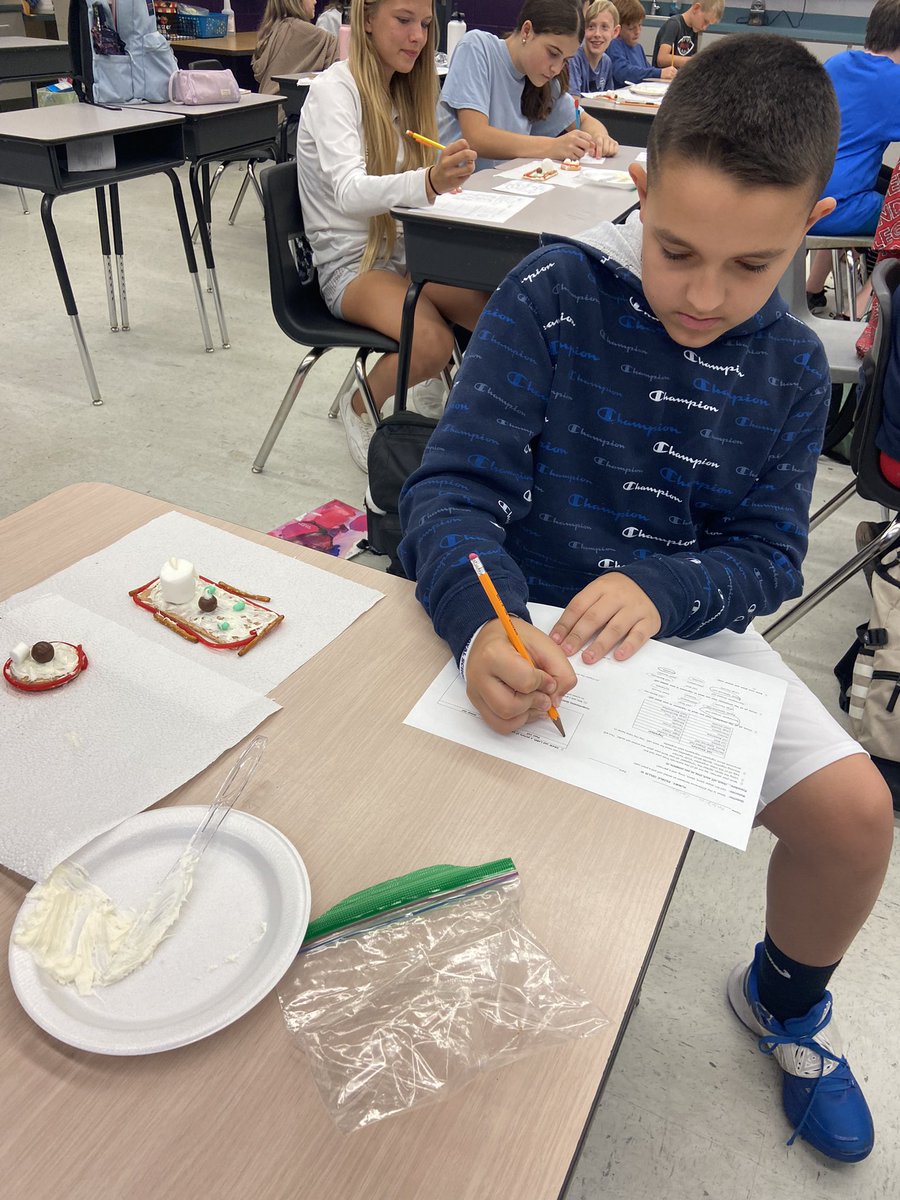 HawksNhawks4's tweet photo. Edible Cells! One of my favorite ways to show the differences between plant and animal cells! @RRMSRoyalKnight #WeAreRoyal https://t.co/POdU64oSxj