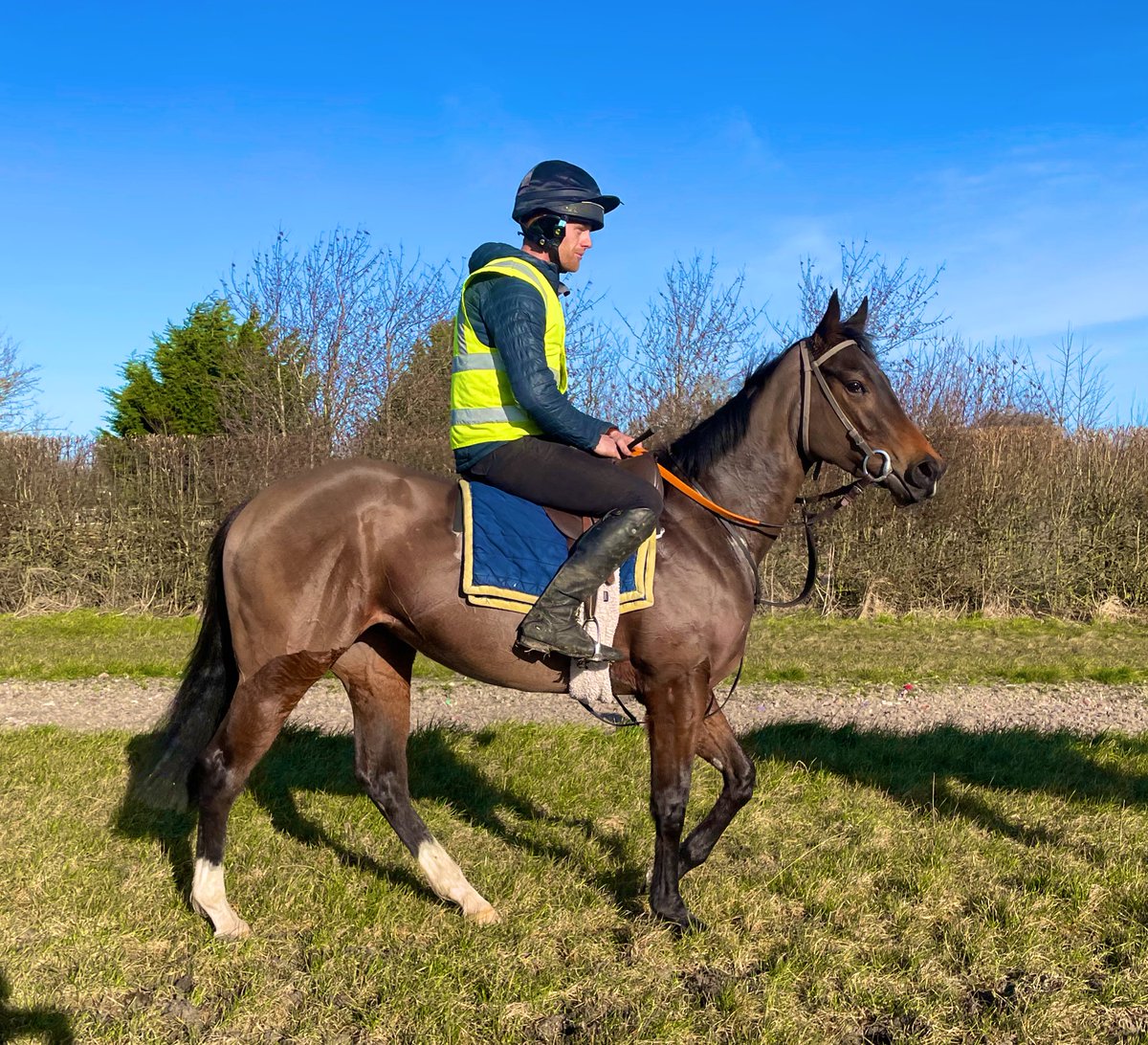 HettaStevens's tweet photo. Congratulations Roseberry Topping @HotToTrotRacing @AndrewBalding2 @whattonmanor Pre-trained with us until 6weeks ago 💥 winner @WolvesRaces under @davidprobert9 https://t.co/32QNhUl4q2