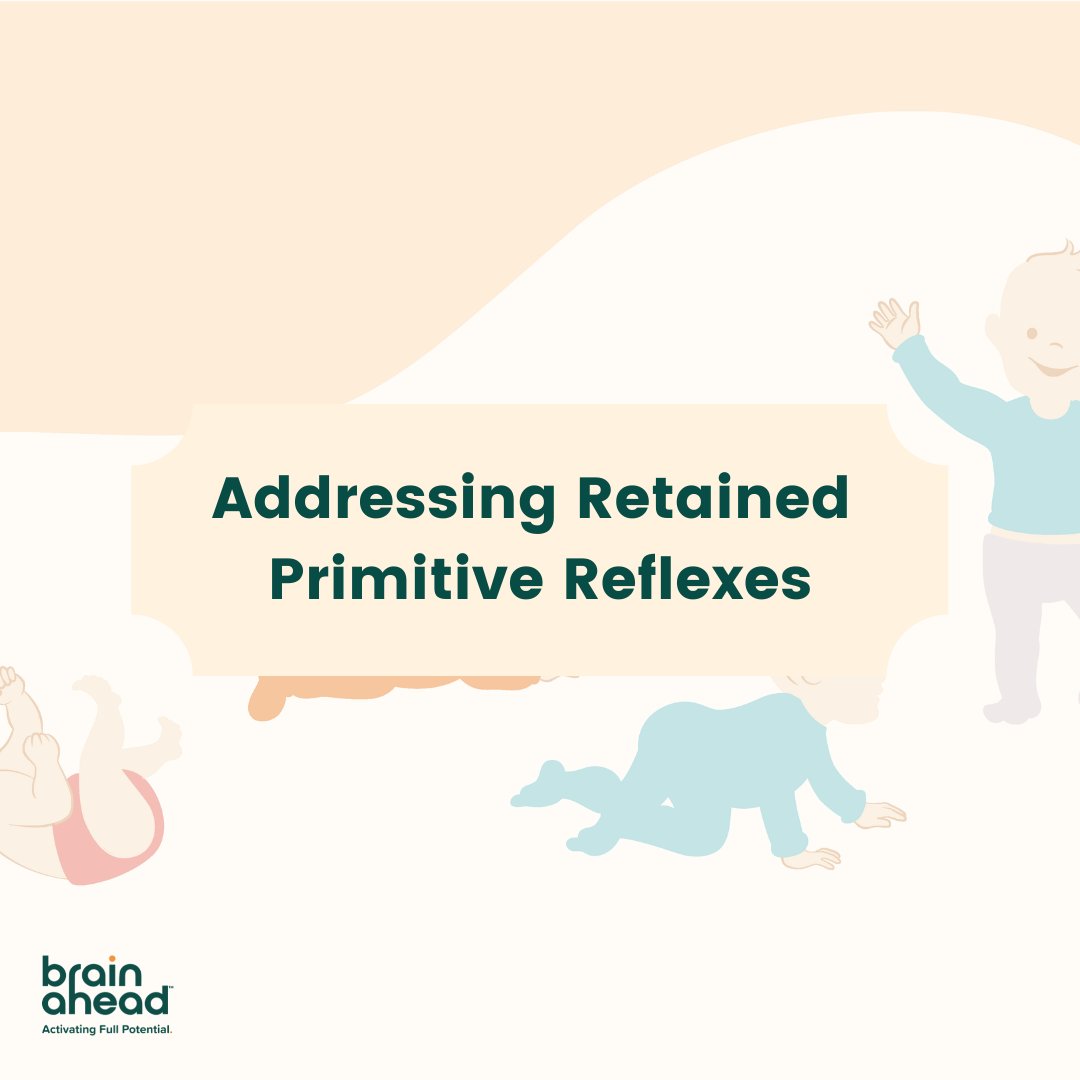 BrainAhead_'s tweet photo. Fortunately, retained primitive reflexes can be remediated! ​​The BrainAhead Developmental Foundations course provides step-by-step, specific and slow movements to integrate these reflexes. #edtech #edtechbridge #kidsdeserveit #learningloss #brainactivation #neuroscience https://t.co/JtSY8LJPBS