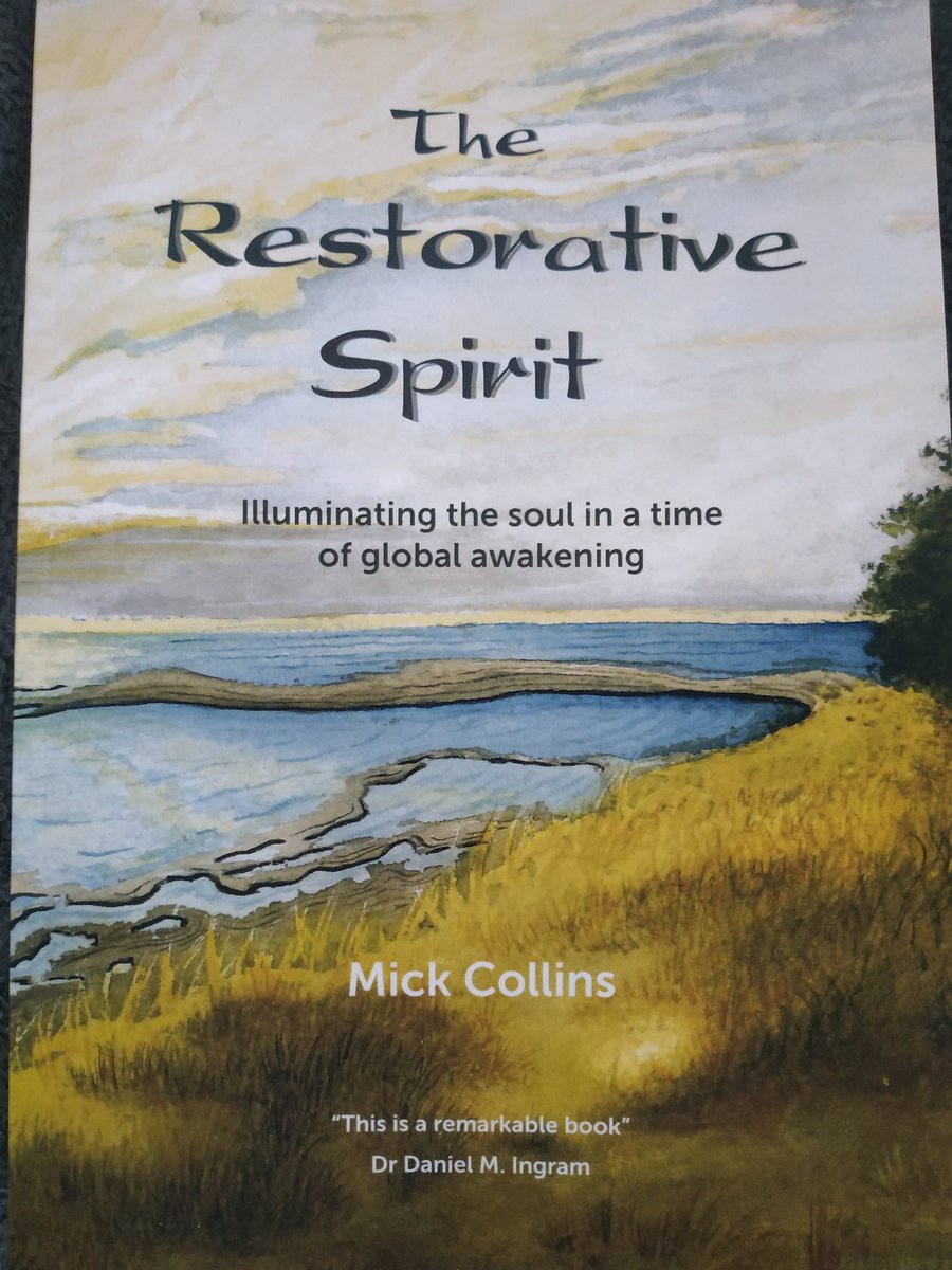 So excited to get home from work today to receive this wonderful new book from <a href="/MickCollins20/">Mick Collins PhD</a> I'm looking forward to reading it again. Thank you Mick 🙏🙏🙏