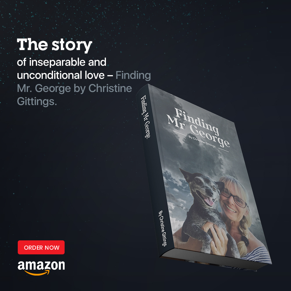 Finding Mr George tweet media