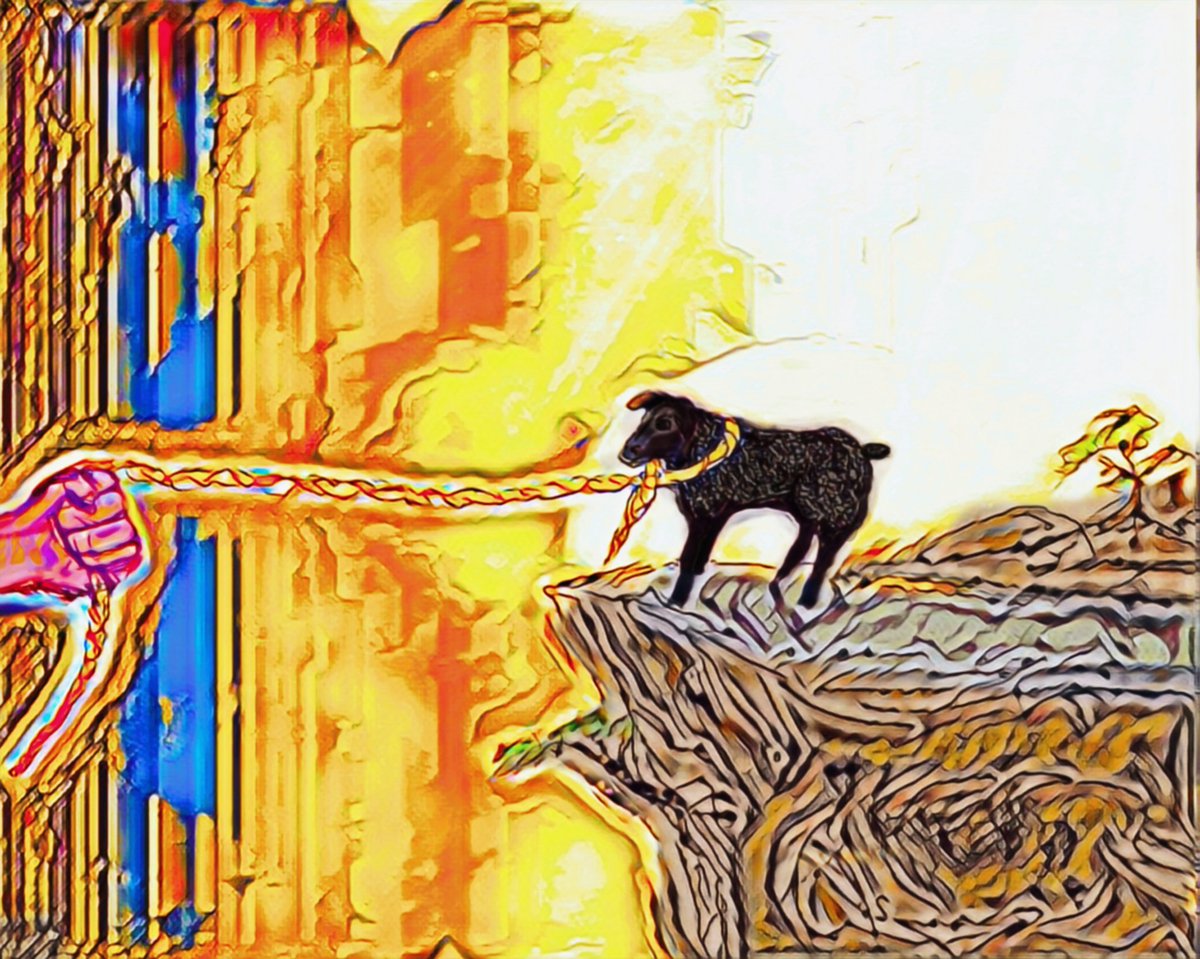 five_leaf_clovR's tweet image. 