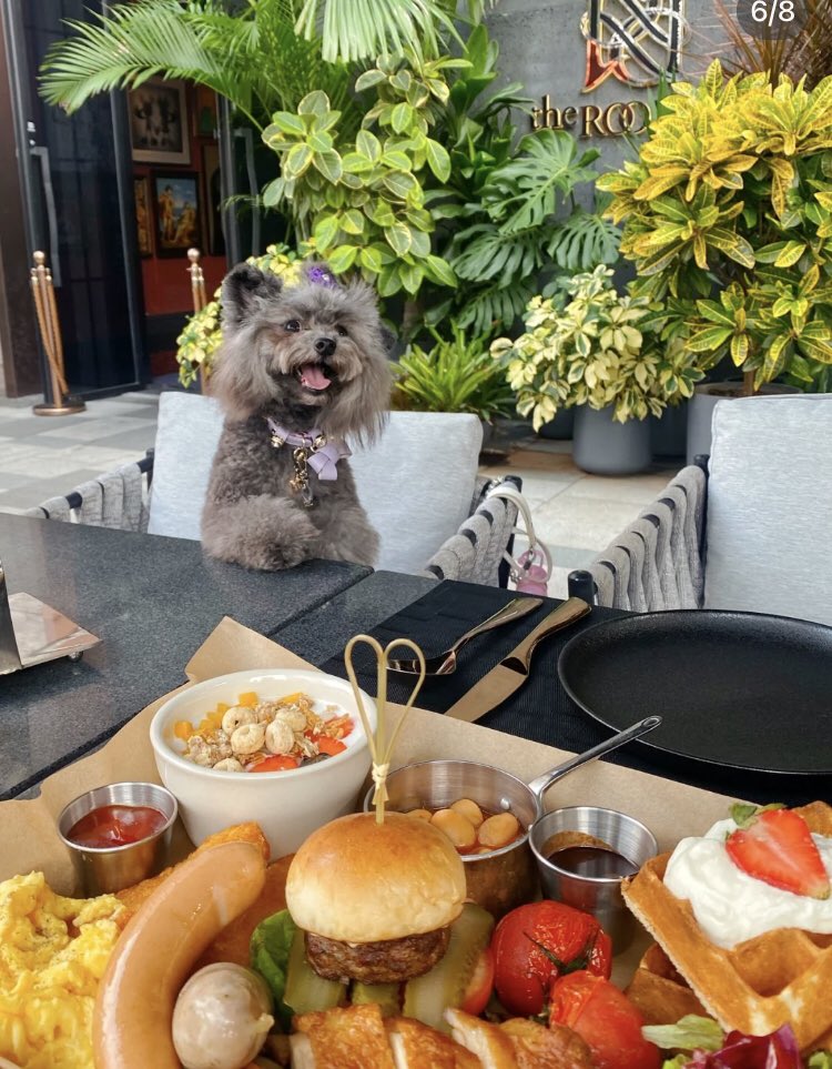 Nana (@harryke65823496) on Twitter photo 