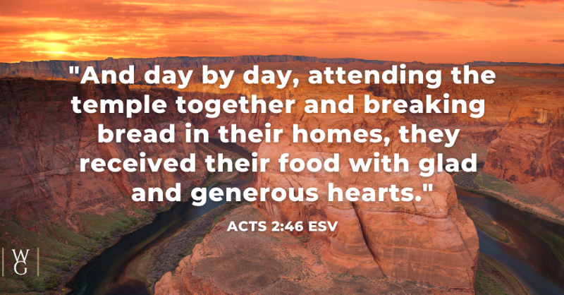 Wayne Grudem tweet media