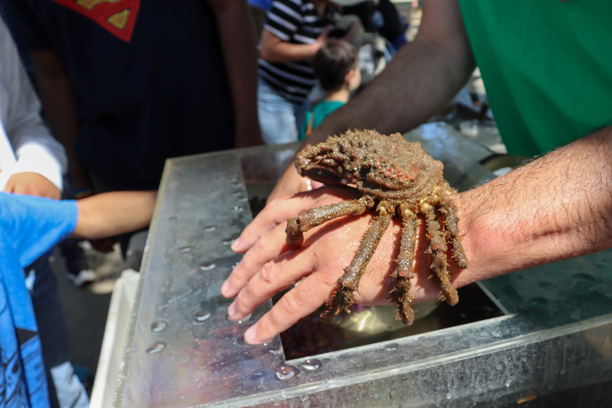 UC Davis Bodega Marine Laboratory tweet media
