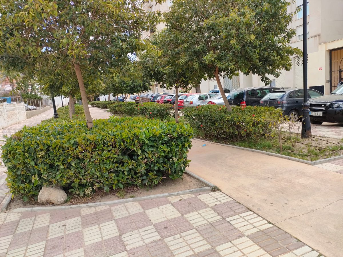 Vivir Marbella tweet media