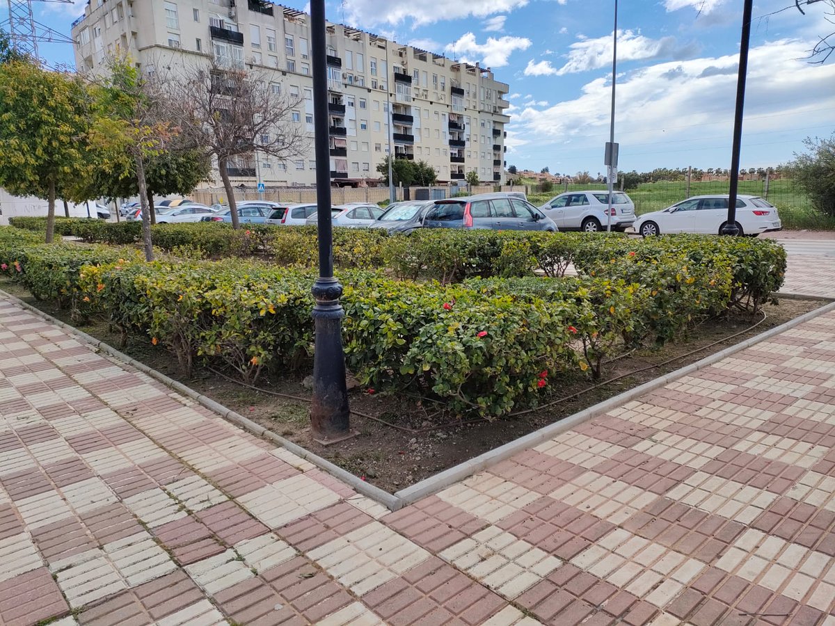 Vivir Marbella tweet media