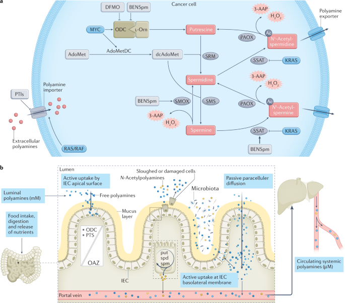 NatureRevCancer tweet picture