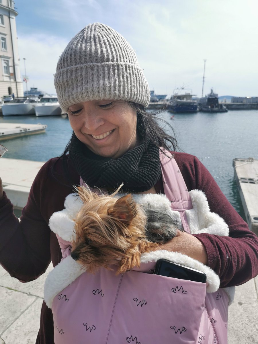 ErikaPolyk's tweet photo. 🌳🐕🐶🦮🐕🦺🐩Szép álmokat kívánok mindenkinek! 🐩🐕🦺🦮🐶🐕🌳 Split város, Horvátország, Adriai-tenger, #kutya #dogs #croatia #adria #pets #horvatorszag #splitcity https://t.co/B2dv2iDDwQ
