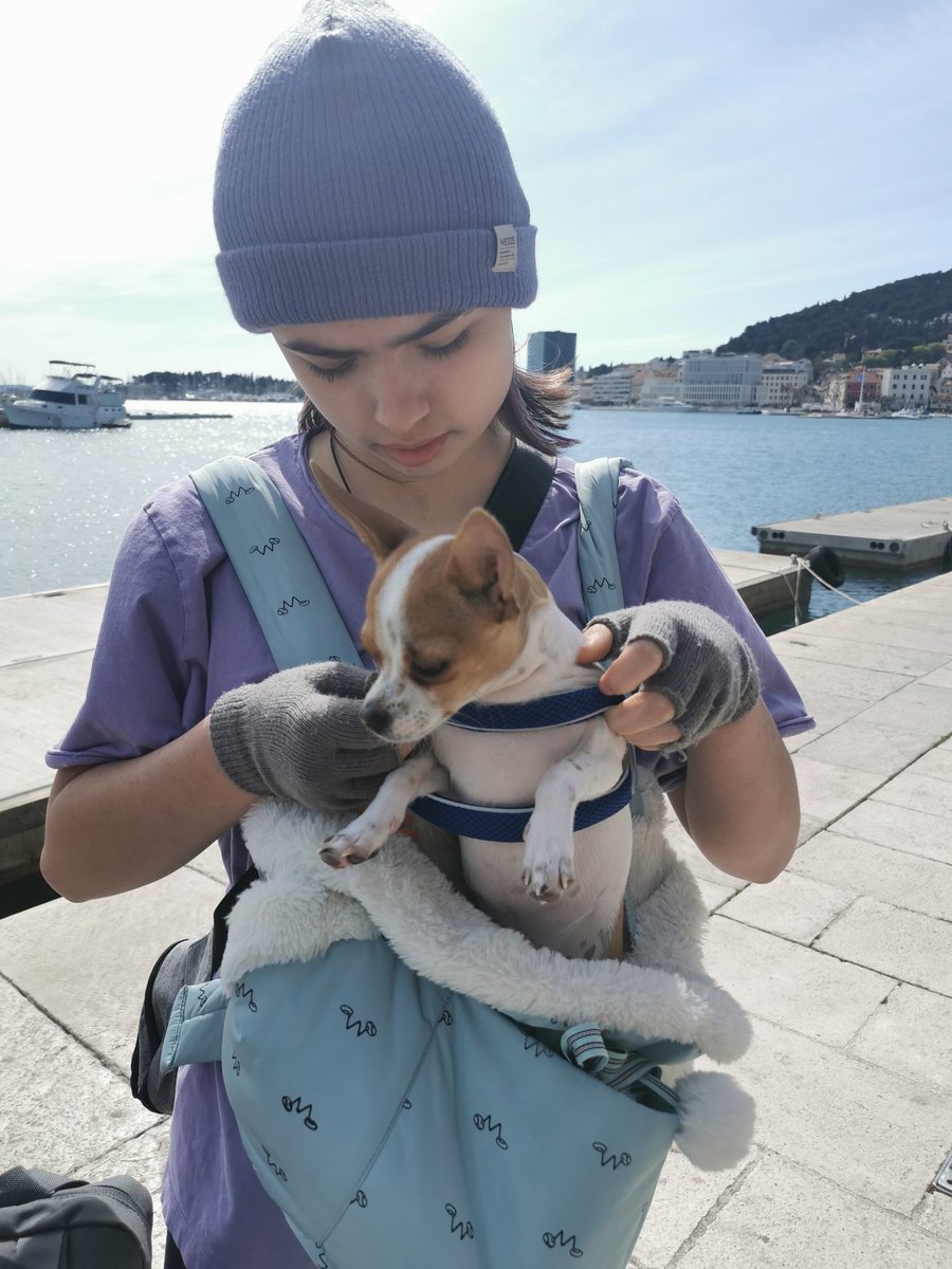 ErikaPolyk's tweet photo. 🌳🐕🐶🦮🐕🦺🐩Szép álmokat kívánok mindenkinek! 🐩🐕🦺🦮🐶🐕🌳 Split város, Horvátország, Adriai-tenger, #kutya #dogs #croatia #adria #pets #horvatorszag #splitcity https://t.co/B2dv2iDDwQ