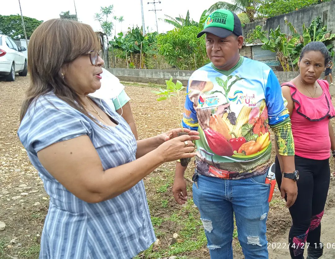 apure_minppau's tweet photo. #27Abril
🌱Minppau Apure 🌱

#ProduciendoParaVenezuela 

A 1 año de la Siembra del Profesor Aristóbulo Istúriz la mañana de Hoy en nuestro #MiércolesProductivo se llevó a cabo Siembra de Plantas Ornamentales en la Comunidad Laguna Verde.

@NicolasMaduro @greybp1 @eduardopiate2 https://t.co/Xv9qtpcCFV