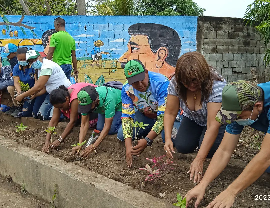 apure_minppau's tweet photo. #27Abril
🌱Minppau Apure 🌱

#ProduciendoParaVenezuela 

A 1 año de la Siembra del Profesor Aristóbulo Istúriz la mañana de Hoy en nuestro #MiércolesProductivo se llevó a cabo Siembra de Plantas Ornamentales en la Comunidad Laguna Verde.

@NicolasMaduro @greybp1 @eduardopiate2 https://t.co/Xv9qtpcCFV