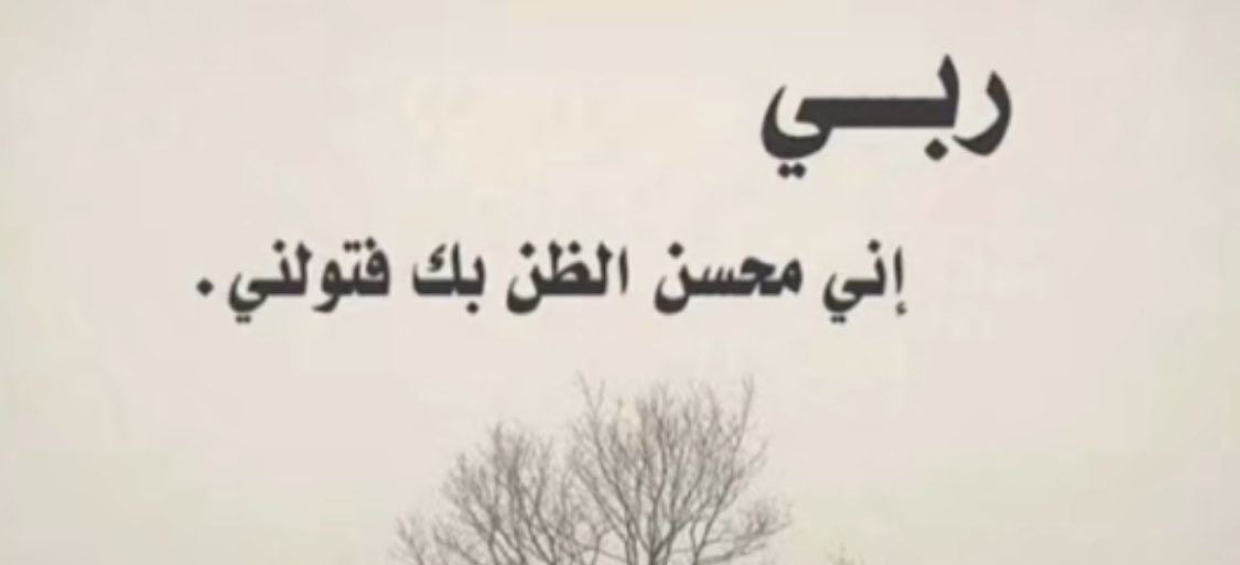 بدر العنزي tweet media