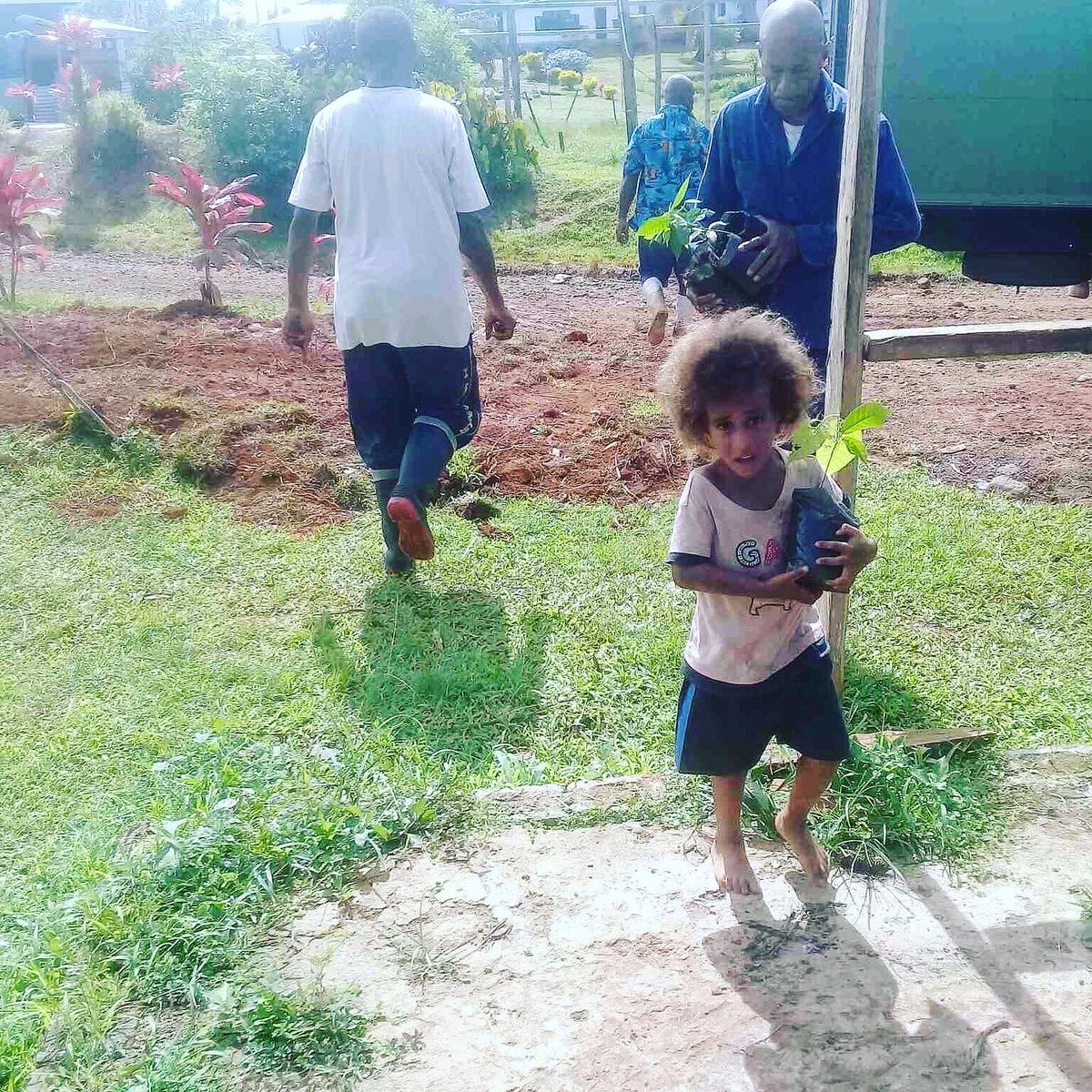 Our little helper is a promise of the future of Fiji’s cocoa industry. We  are embarking on a “Cocoa Acceleration Program”  with  MPI to distribute 50,000 seedlings to increase supply and farmer livelihood. 
#fijicocoa #cacaofijiproject #cocoaaccelerationfiji #cocoarevivalfiji