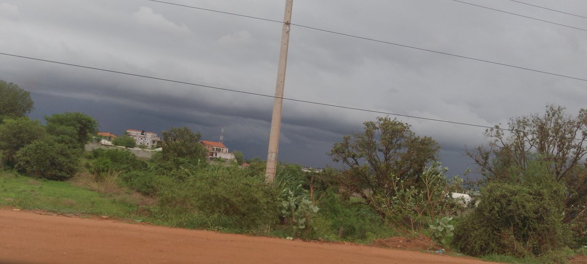 Chany Ninrew tweet media