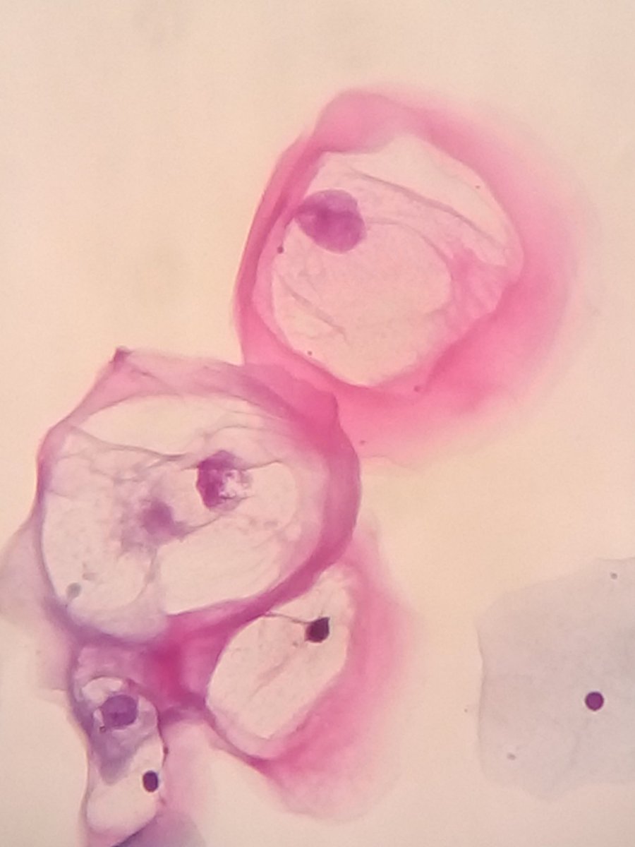 Lucero Ramírez G tweet media