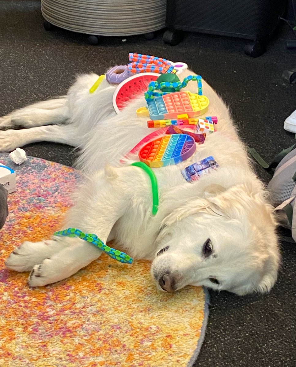 It was a busy day visiting the Hub to say hello to my fish friends and helping sort fidgets in the office <a href="/TomNewEdu/">Tom New</a> <a href="/Ryan5art/">ArtCrowley</a> <a href="/MrsNBusse/">nathania busse</a> <a href="/GrayslakeNorth/">Knight Pride</a>