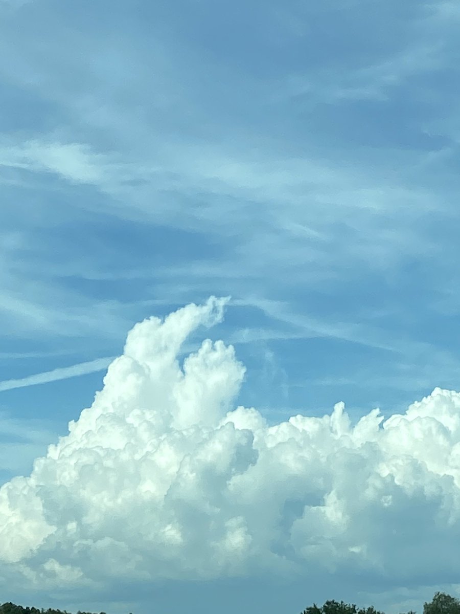 GoddessReddx's tweet photo. This is literally what my camera roll consist of. 

I absolute love it. 

This and the night sky. https://t.co/XQ0mRKUWZO