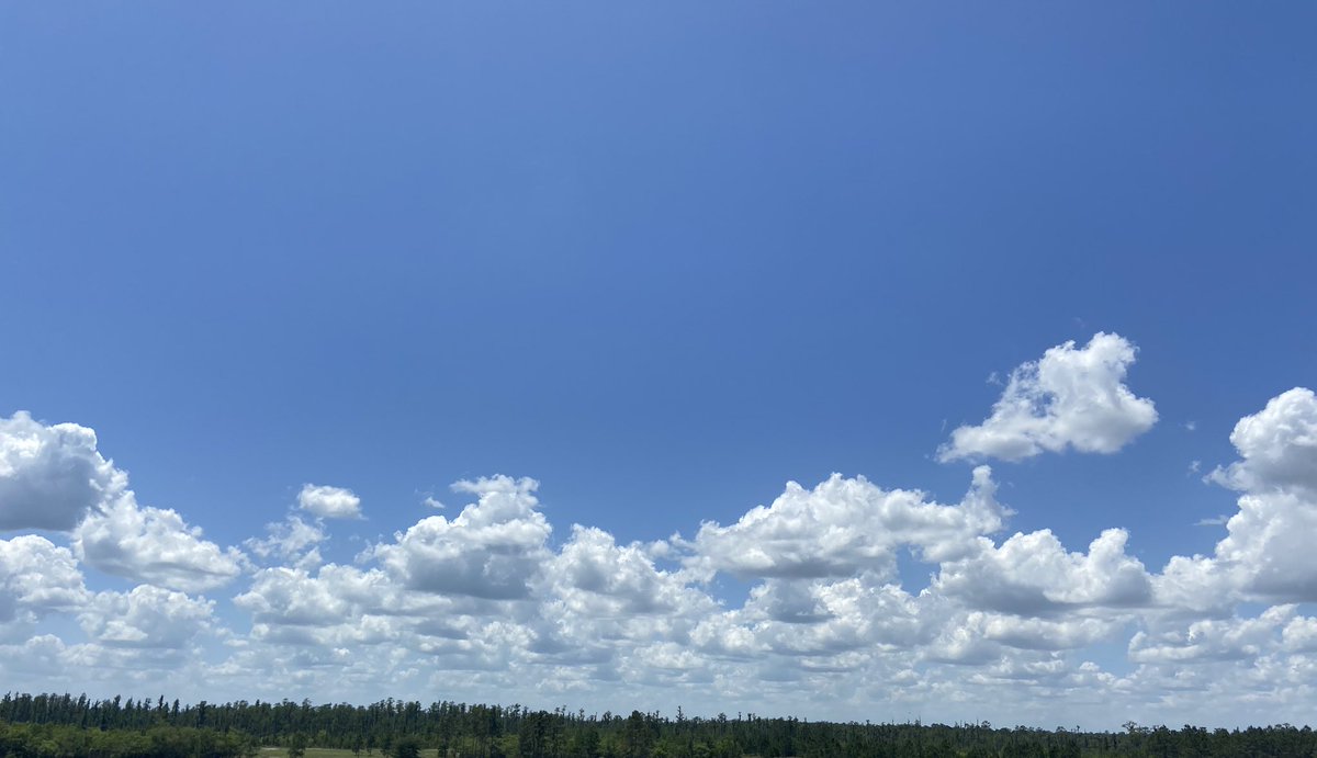 GoddessReddx's tweet photo. This is literally what my camera roll consist of. 

I absolute love it. 

This and the night sky. https://t.co/XQ0mRKUWZO