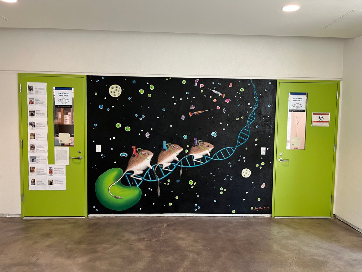 GroupLeconte's tweet photo. Thanks to graduating senior Amy Xue (CMC '22) for leaving us with this amazing mural outside of our lab (in addition to some brighter luciferases!) https://t.co/EPCjRyIL0Z