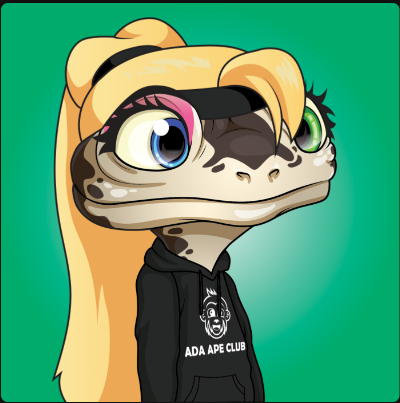 Ace Media & Gaming tweet media