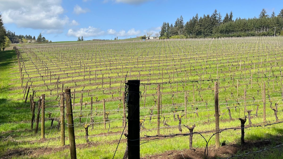 May is Oregon Wine Month! - mailchi.mp/849b5c885d7b/m…