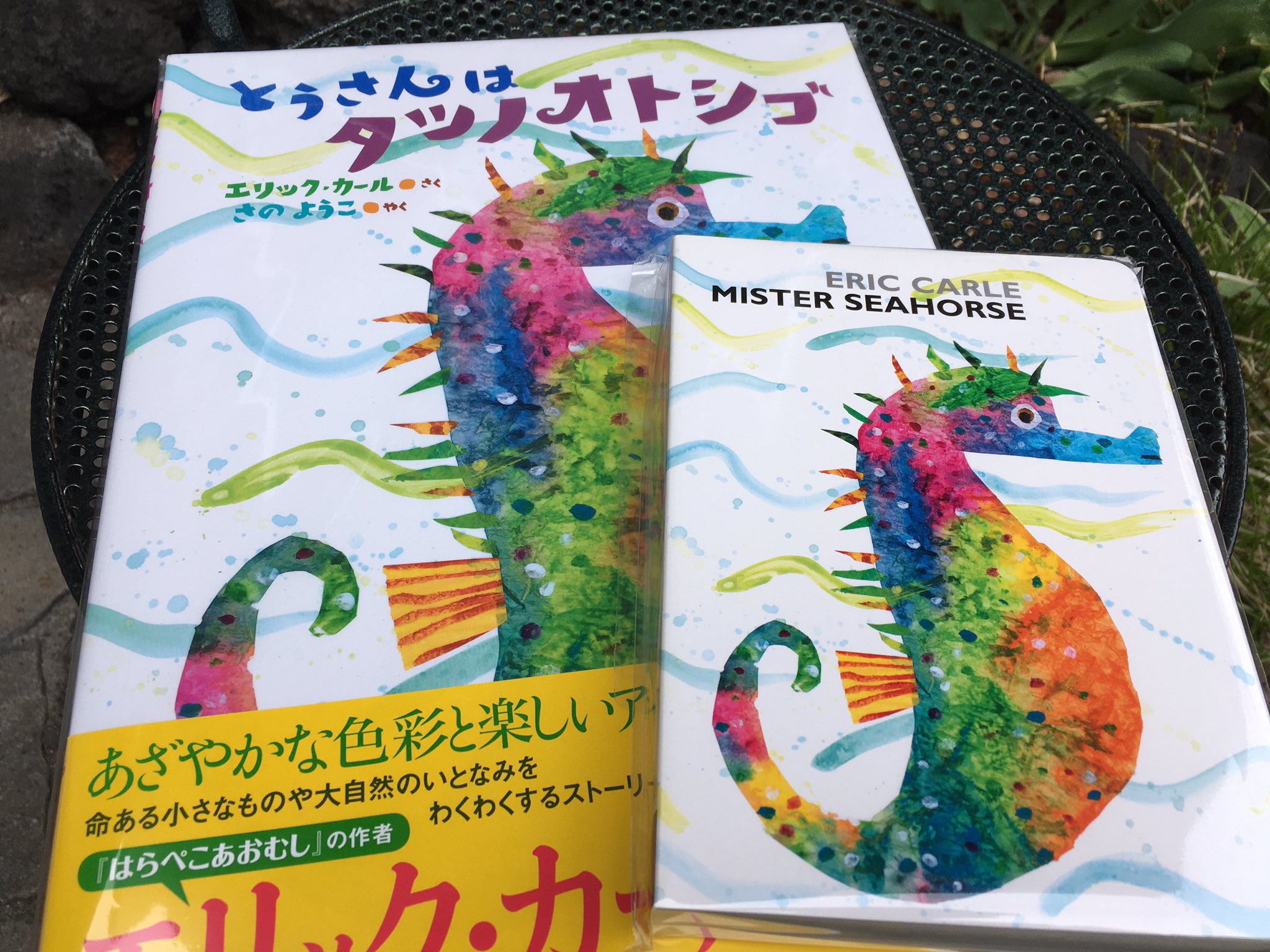絵本のお店 木のおもちゃのお店 ムーゼの森 軽井沢 ちいさいおうち や はらぺこあおむし が人気のエリック カールの作品から とうさんはタツノオトシゴ パパ お月さまとって お子様の寝かしつけに人気の おやすみなさいおつきさま も