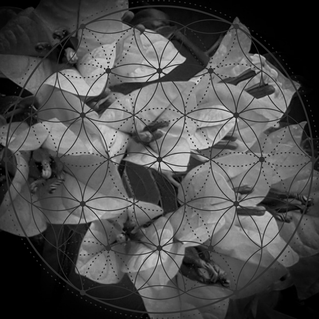 SacredNFT333 tweet media