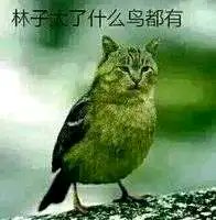 FactorViolent tweet picture
