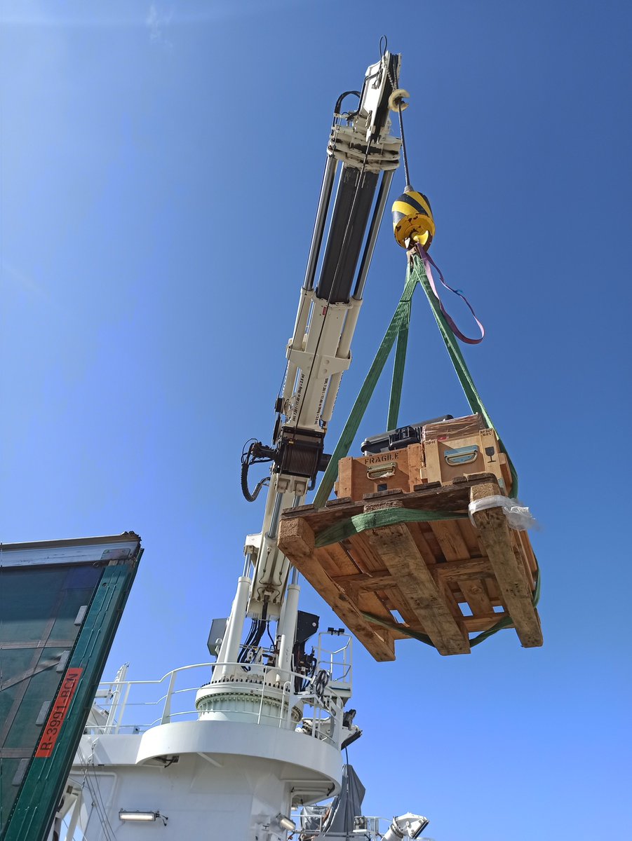 Carmen Juan tweet media