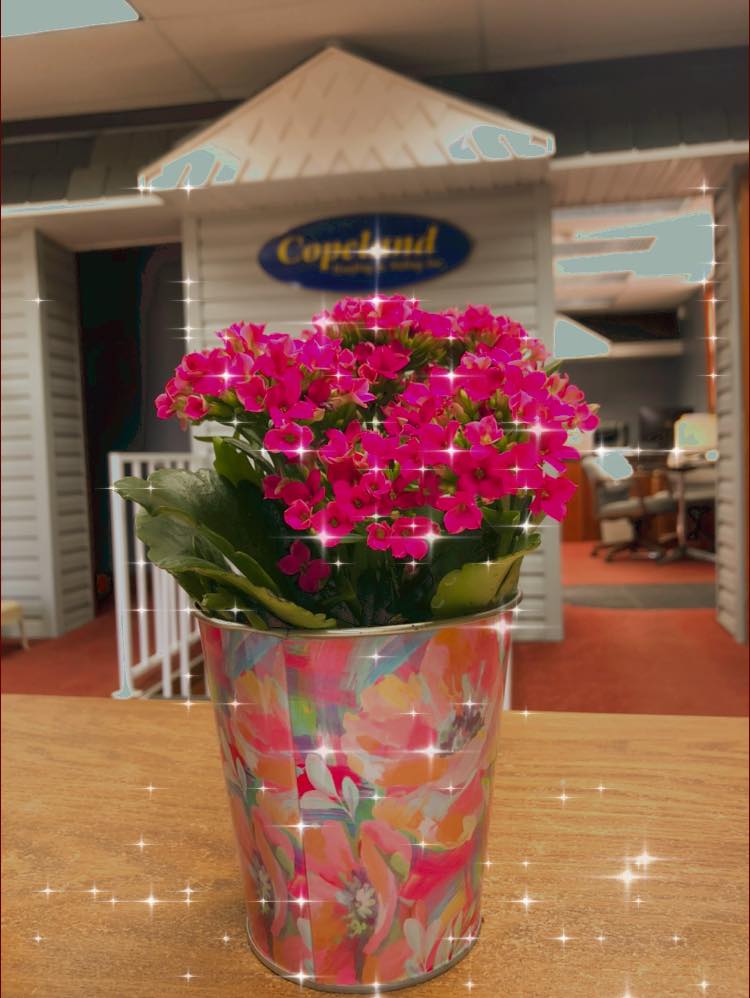 CopelandRoofing's tweet photo. Where would we be without our Administrative Professionals? Happy Administrative Professionals Day to the VIPs behind the scenes! https://t.co/Pme1ivFe78