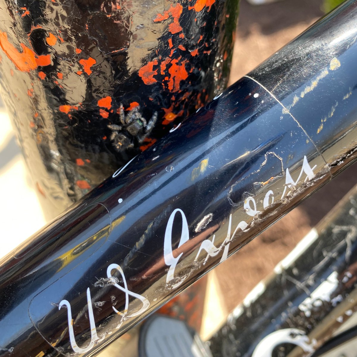 Lanterna tweet media