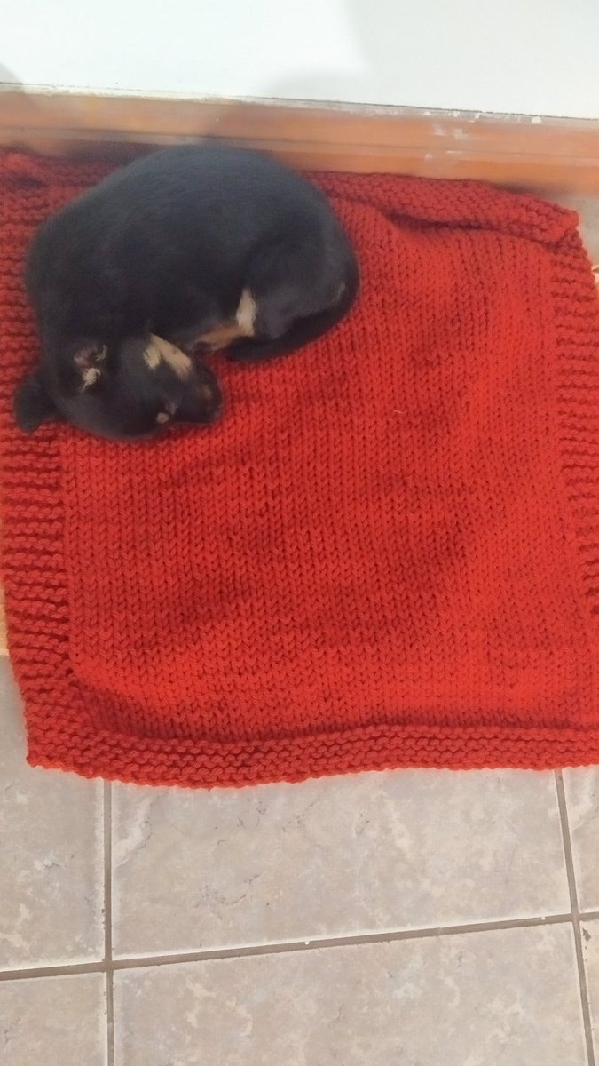 Sofifaro's tweet photo. Llegó regalito de la abuela  🤣🙈 https://t.co/QoswLKKGof