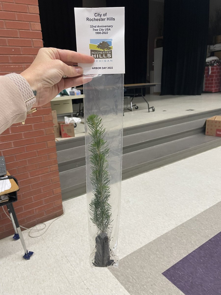 Signorello’s Stars tweet media