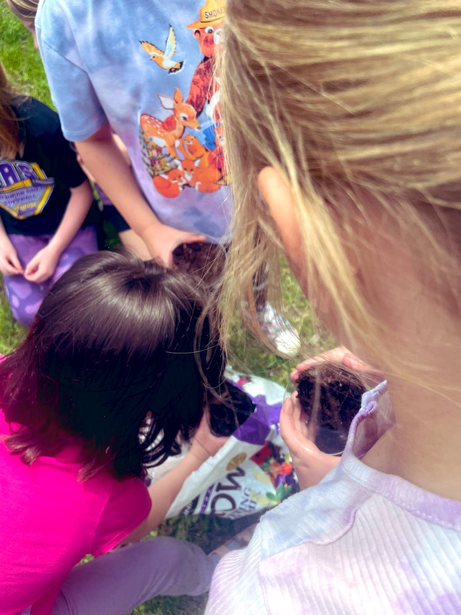Mast_2nd's tweet photo. Planted sunflowers today and are patiently waiting to see them sprout!! 🌻 #bulletpride #connectses https://t.co/5XV0AOORTp