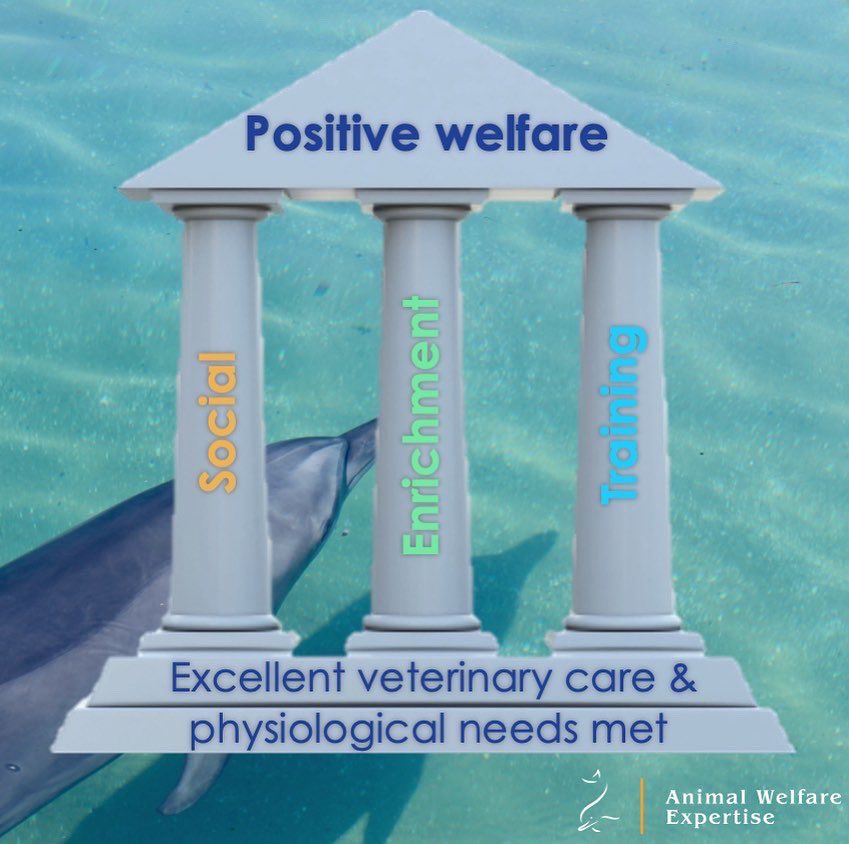 Dr Isabella Clegg 🐬 tweet media