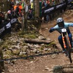 Photo by Finish Line Lube (@FinishLineLube)