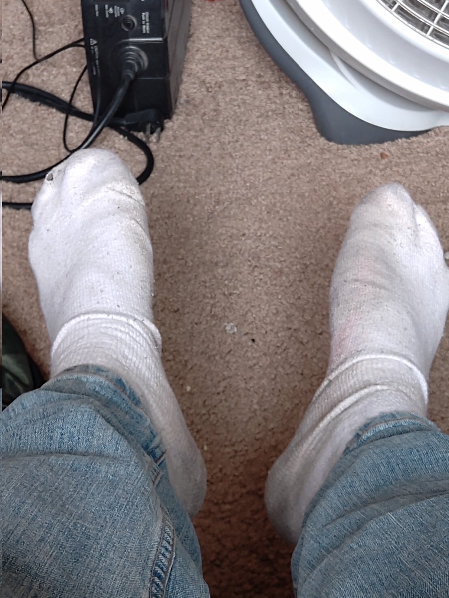 OtterSox tweet media