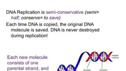 Francis Crick (1916 – 2004) #English #biologist,. 2nd eff. n exp. resul~, in 1953, in comp~ double-helical config. awar~ 1962 #NobelPrize.  brn #ENGLAND,Ph.D. 1954 “X-ray Diff~: Polypeptides and Proteins” #wednesdaythought #wednesdayvibes #AI #Biology #Science #NEET2022 #NEET2023
