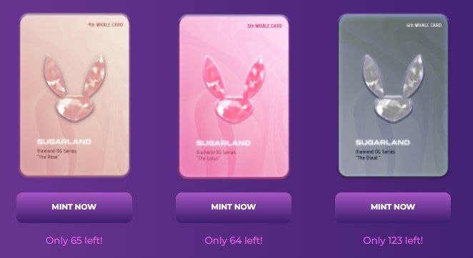 lethal_sugar's tweet photo. @cryptogems555 Bull or Bear Market 

@SugarLandCoin  Diamond NFT holders get rewarded!

At Sugarland we believe rewarding our holders is very important.

Come visit! 

#SugarArmy #Coinmarketcap #BSCGems #Binance
 #BNB #BKEX https://t.co/k4TUl1yLWV