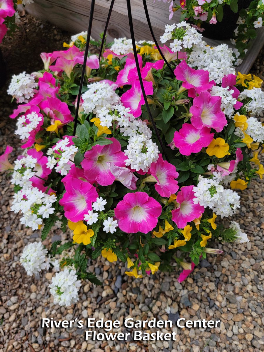 Choose Framingham tweet media