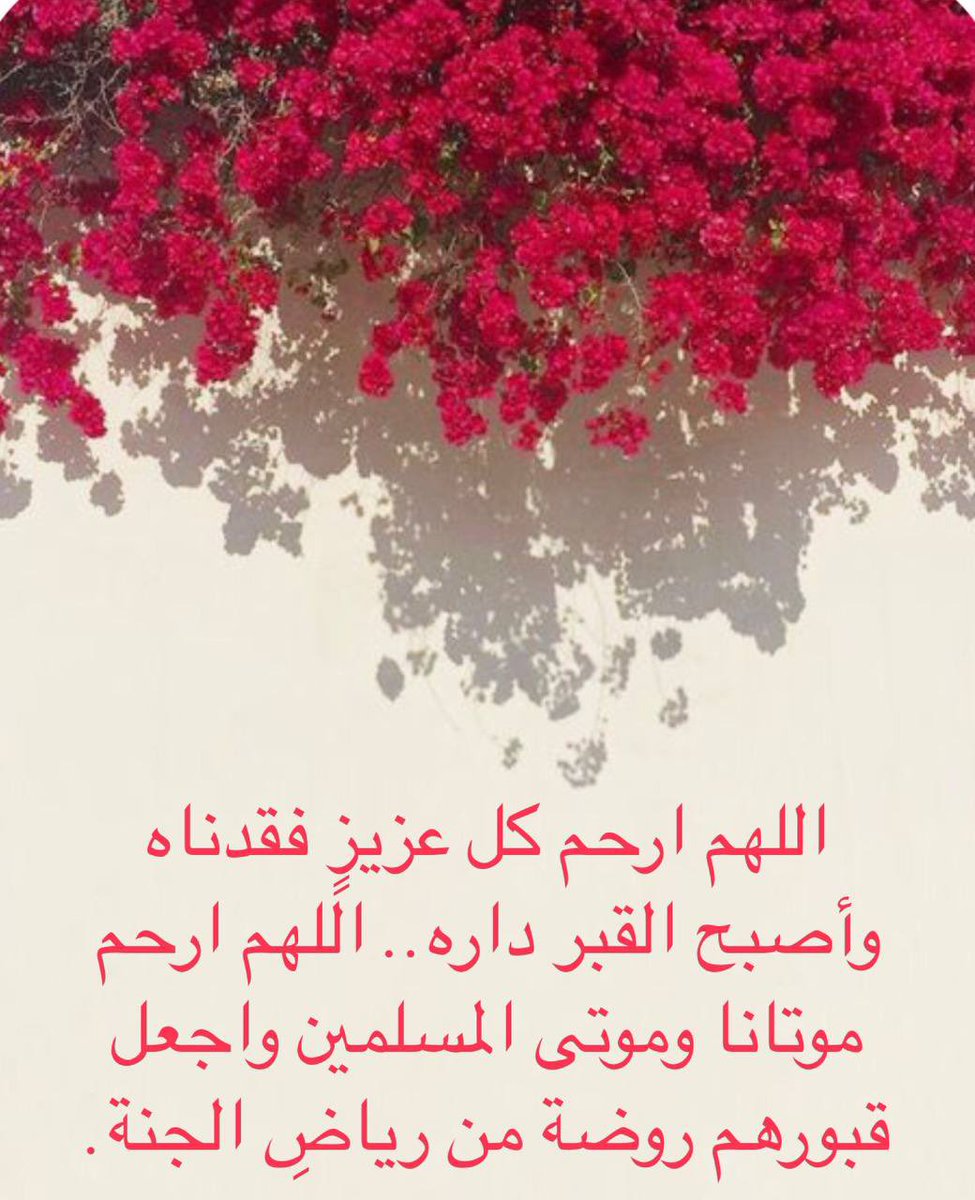 n tweet media